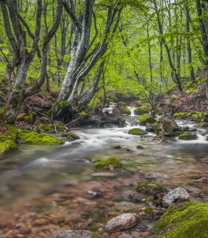 mountain-waterfall-covered-in-fog